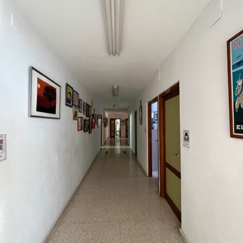 colegio-moliere-instalaciones-34