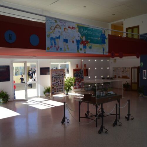 colegio-moliere-instalaciones-37